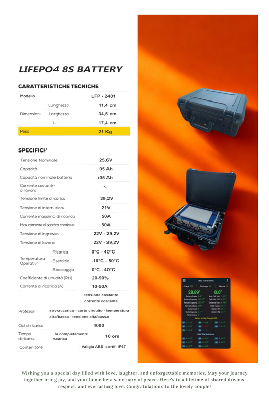 Batteria in valigia al litio lifepo4 24v 100ah