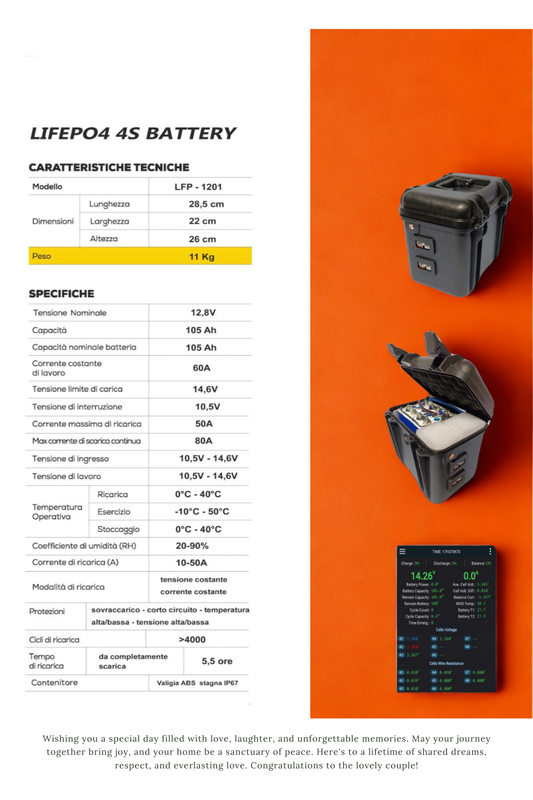 Batteria in valigia al litio lifepo4 12v 100ah full optional