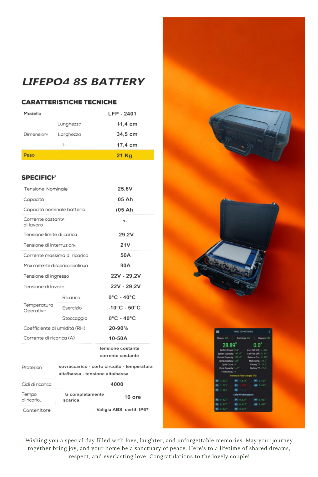 Batteria in valigia al litio lifepo4 24v 100ah